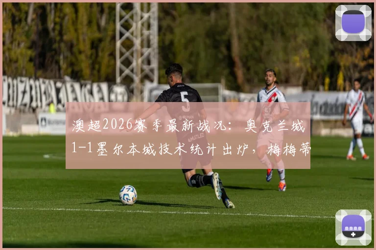 澳超2026赛季最新战况：奥克兰城1-1墨尔本城技术统计出炉，梅梅蒂绝平进球GIF集锦与积分榜影响深度分析